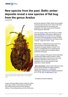Baltic Amber Deposits Reveal a New Species of Flat Bug from the Genus Aradus 2 June 2014