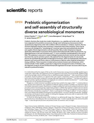 Prebiotic Oligomerization and Self-Assembly of Structurally Diverse