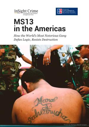 MS13 in the Americas How the World’S Most Notorious Gang Defies Logic, Resists Destruction