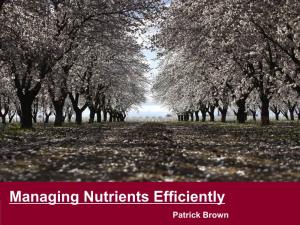 Managing Nutrients Efficiently Patrick Brown Recent Research on Plant Nutrition in Californian Almond: (2008-13)