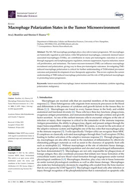 Macrophage Polarization States in the Tumor Microenvironment