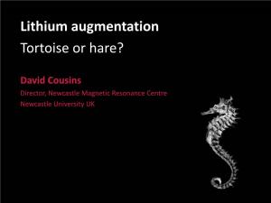 Lithium Augmentation Tortoise Or Hare?