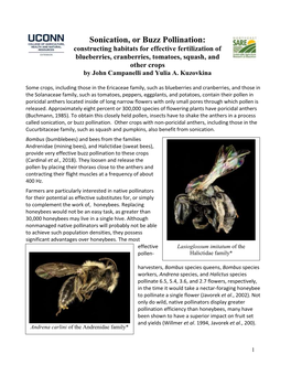 Sonication, Or Buzz Pollination: Constructing Habitats for Effective Fertilization Of