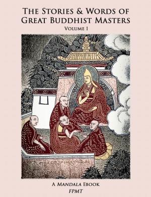 1. Remarkable Meetings with Lama Yeshe: Encounters with a Tibetan Mystic, by Glenn H
