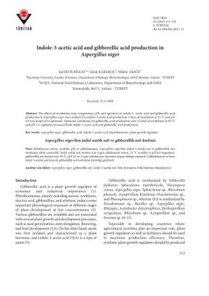 Indole-3-Acetic Acid and Gibberellic Acid Production in Aspergillus Niger