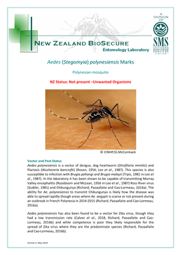 Aedes (Stegomyia ) Polynesiensis Marks