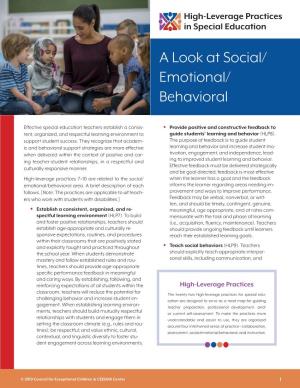 A Look at Social/ Emotional/ Behavioral