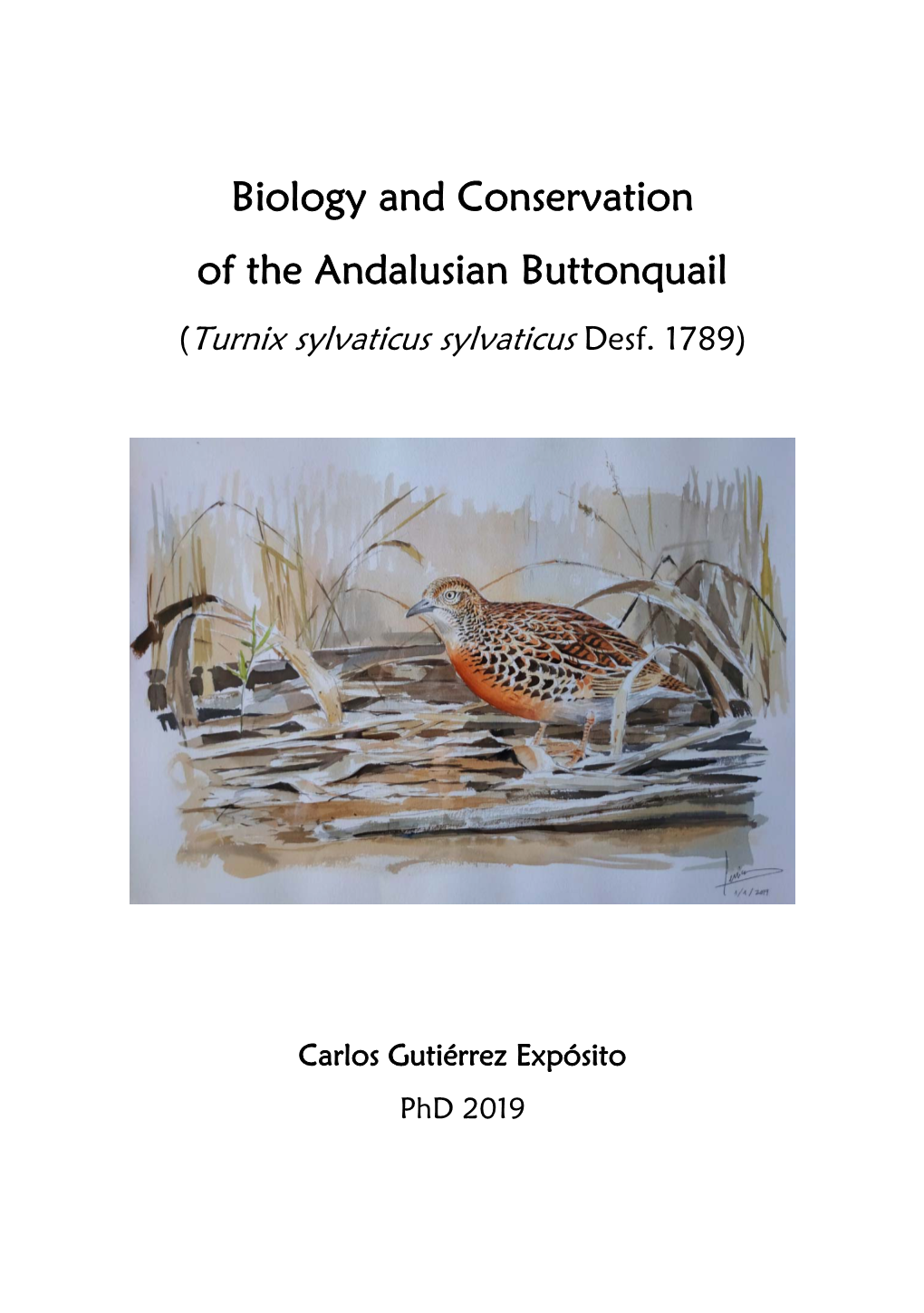 Biology and Conservation of the Andalusian Buttonquail (Turnix Sylvaticus Sylvaticus Desf
