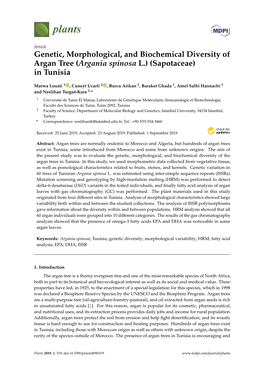 Genetic, Morphological, and Biochemical Diversity of Argan Tree (Argania Spinosa L.) (Sapotaceae) in Tunisia