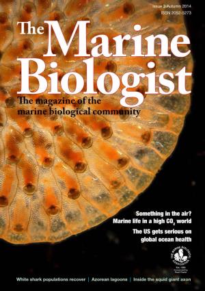 Marine Biologist Magazine