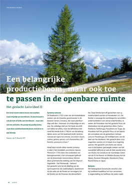 Een Belangrijke Productieboom, Maar Ook Toe Te Passen in De Openbare Ruimte Het Geslacht Larix (Deel I)