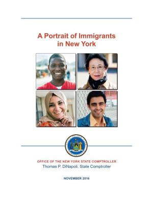 A Portrait of Immigrants in New York, November 2016