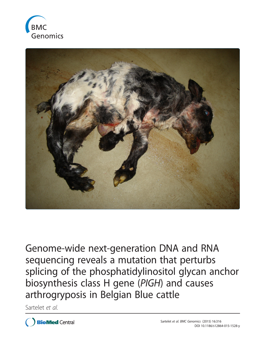 Genome-Wide Next-Generation DNA and RNA Sequencing Reveals A