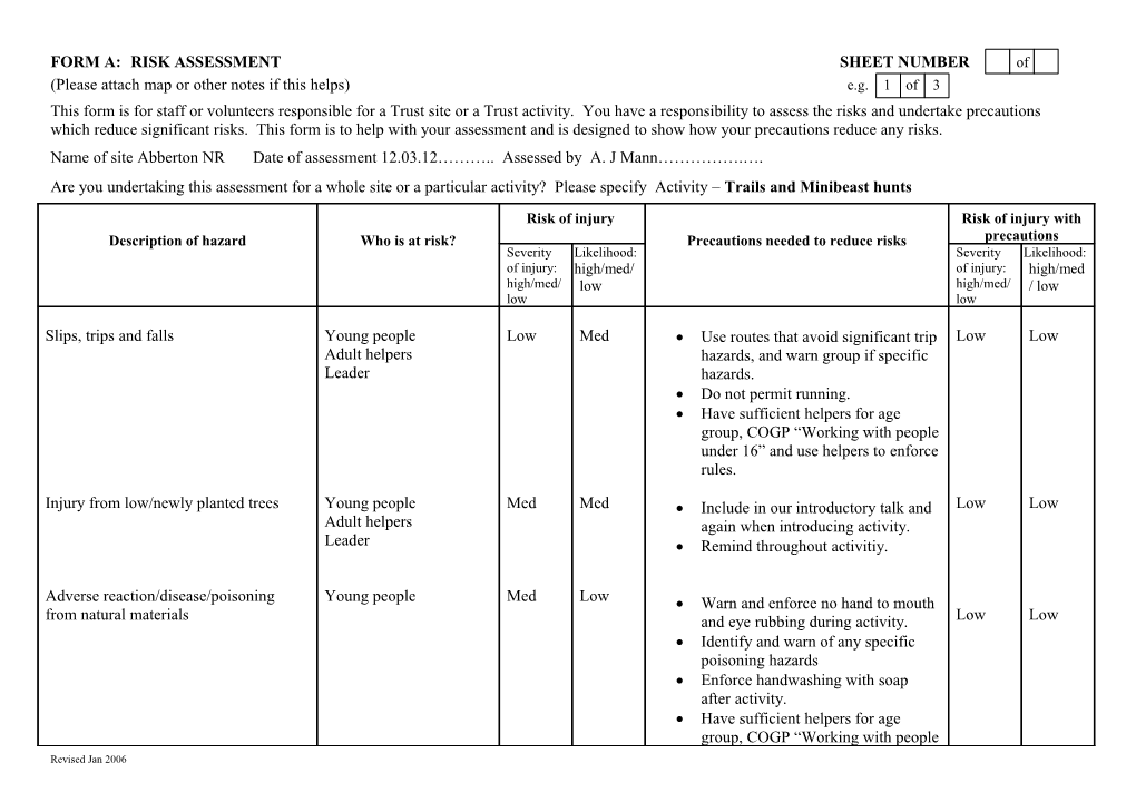 Form A: Risk Assessment