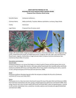 Download the Written Findings for Malta Starthistle, Centaurea Melitensis