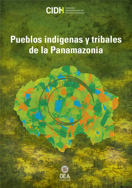 Situación De Los Derechos Humanos De Los Pueblos Indígenas Y Tribales De La Panamazonía