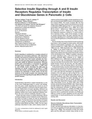 Selective Insulin Signaling Through a and B Insulin Receptors Regulates Transcription of Insulin and Glucokinase Genes in Pancreatic ␤ Cells