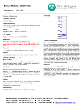 Human Midkine / MDK Protein