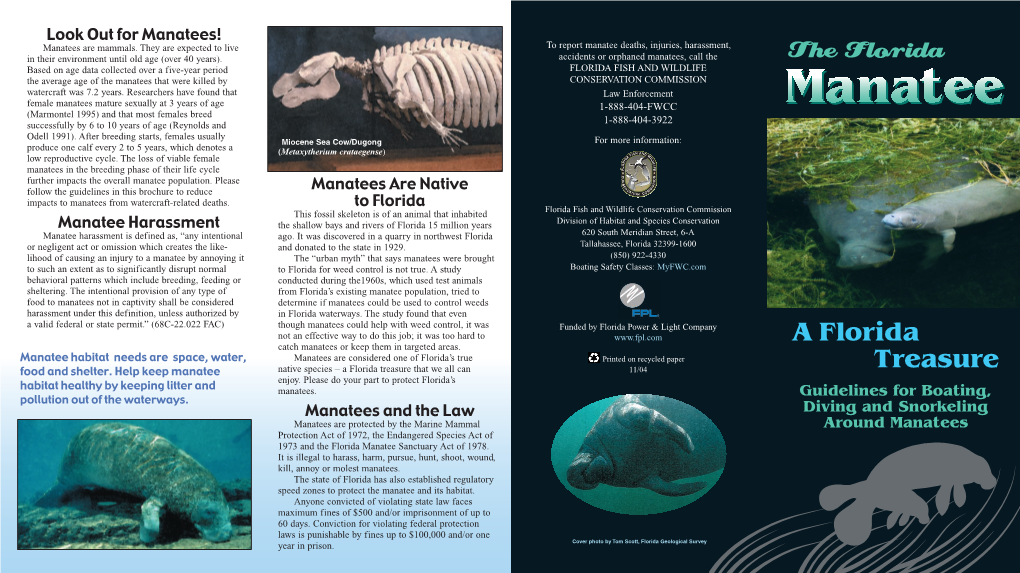 Manatee Brochure