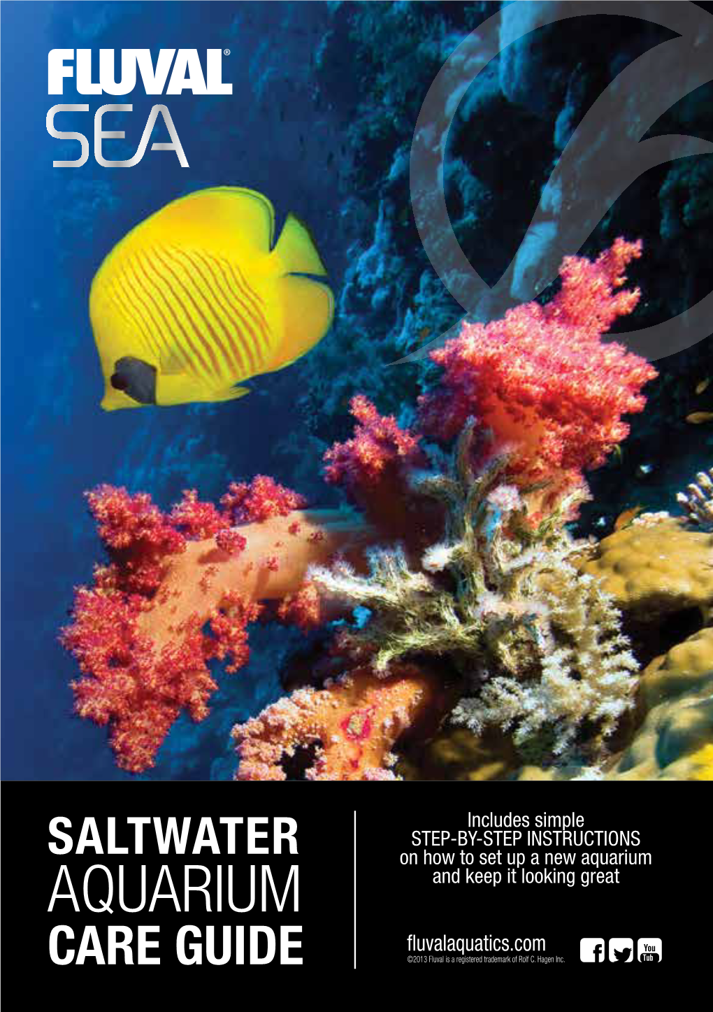 SALTWATER on How to Set up a New Aquarium  AQUARIUM and Keep It Looking Great Fluvalaquatics.Com CARE GUIDE ©2013 Fluval Is a Registered Trademark of Rolf C