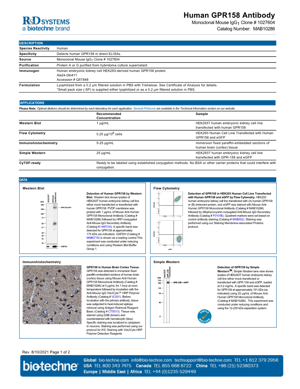 Human GPR158 Antibody