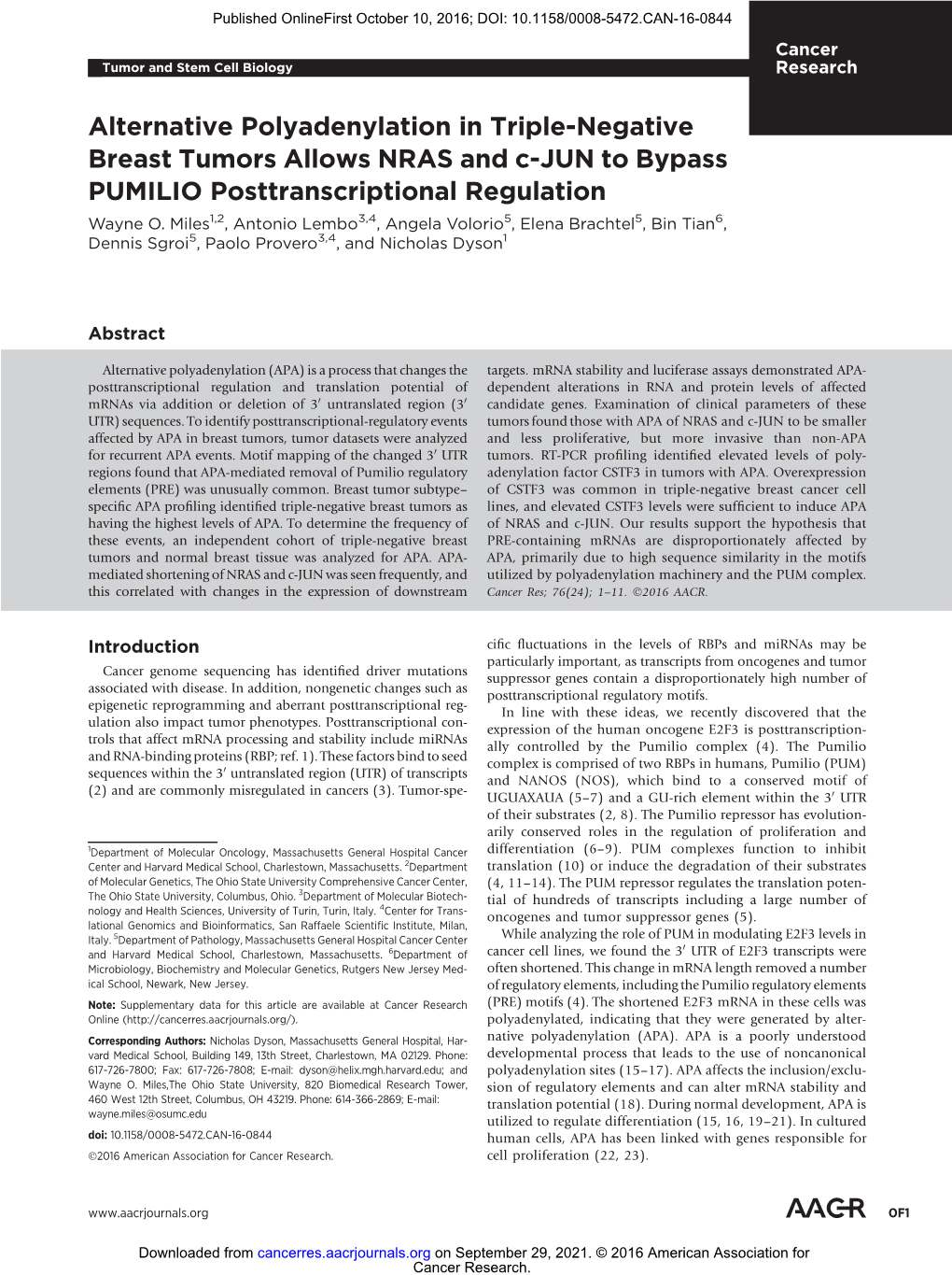 Alternative Polyadenylation in Triple-Negative Breast Tumors Allows NRAS and C-JUN to Bypass PUMILIO Posttranscriptional Regulation Wayne O
