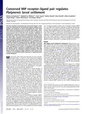Conserved MIP Receptor–Ligand Pair Regulates Platynereis Larval Settlement