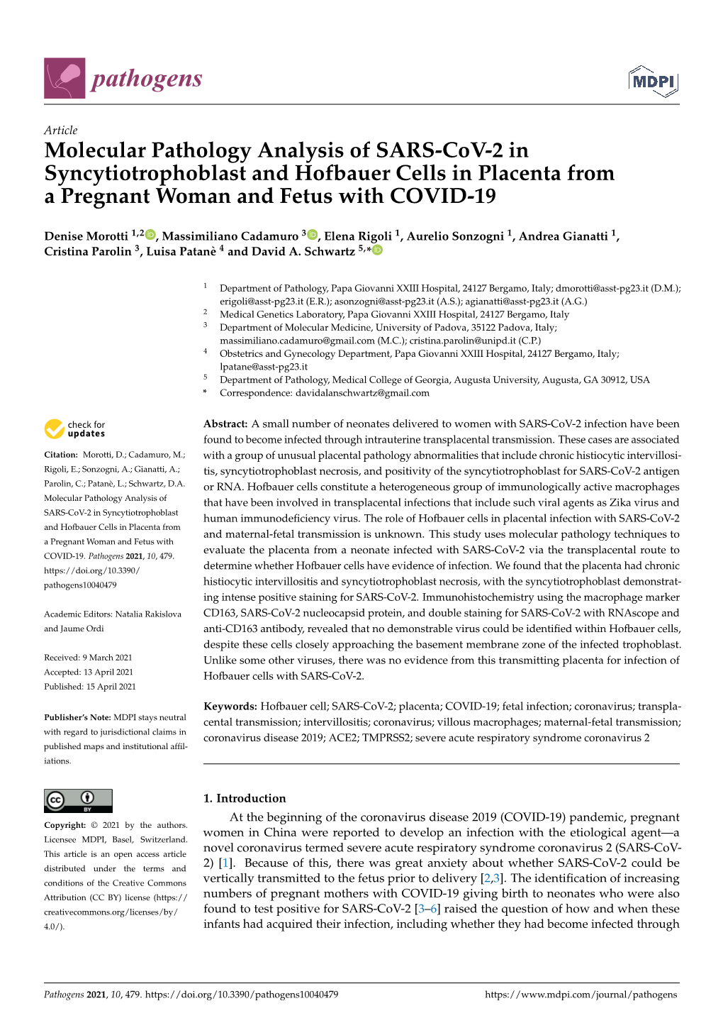 Molecular Pathology Analysis of SARS-Cov-2 in Syncytiotrophoblast and Hofbauer Cells in Placenta from a Pregnant Woman and Fetus with COVID-19