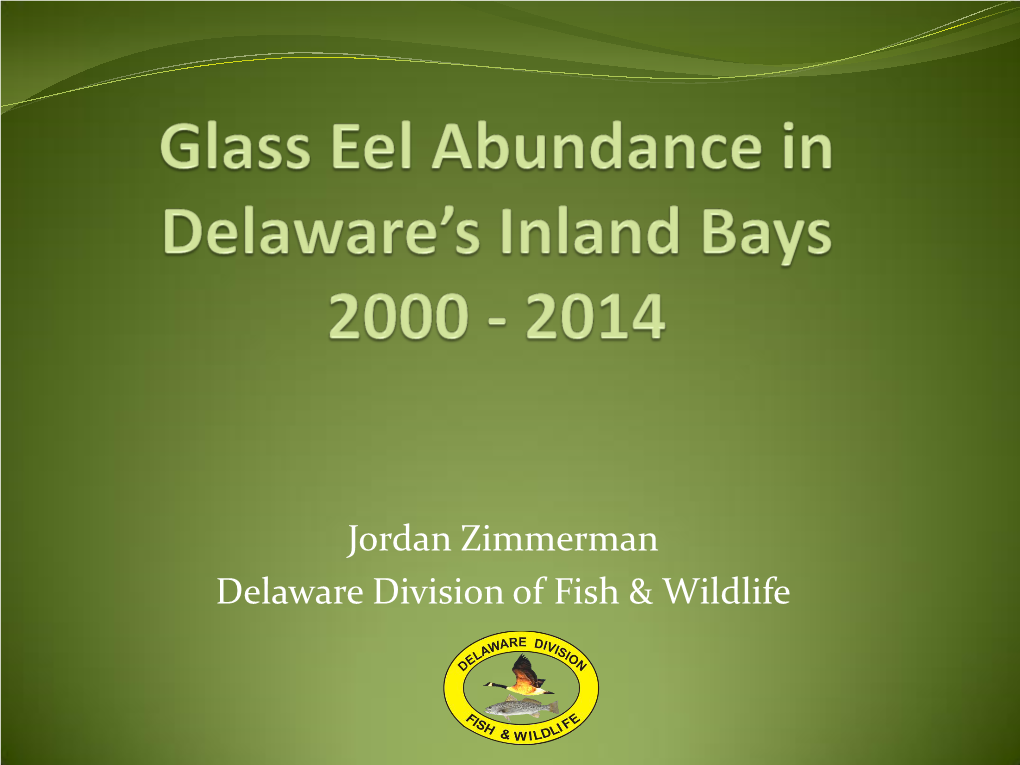 Glass Eel Abundance in DE's Inland Bays