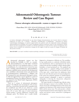 Adenomatoid Odontogenic Tumour: Review and Case Report