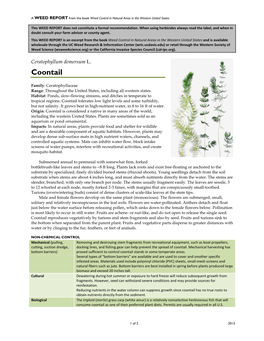 Ceratophyllum Demersum L