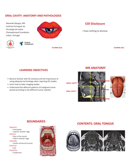 29360-Oral Cavity Dr. Alexandra Borges.Pdf