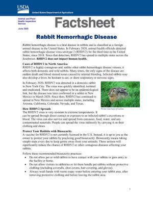 Rabbit Hemorrhagic Disease Virus Serotype 2 (RHDV2) for the Third Time in the United States, Since 2018