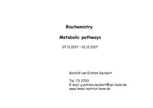 Biochemistry Metabolic Pathways
