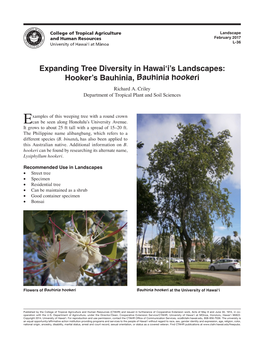 Expanding Tree Diversity in Hawai'i's Landscapes: Hooker's Bauhinia
