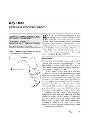Recovery Plan for the Key Deer (FWS 1985)