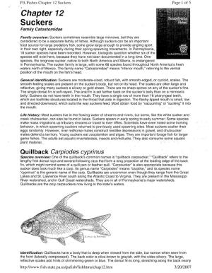 Pennsylvania Fishes: Suckers