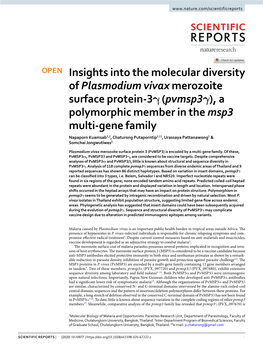 Insights Into the Molecular Diversity of Plasmodium Vivax Merozoite Surface Protein-3Γ