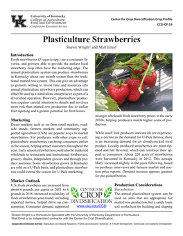Plasticulture Strawberries