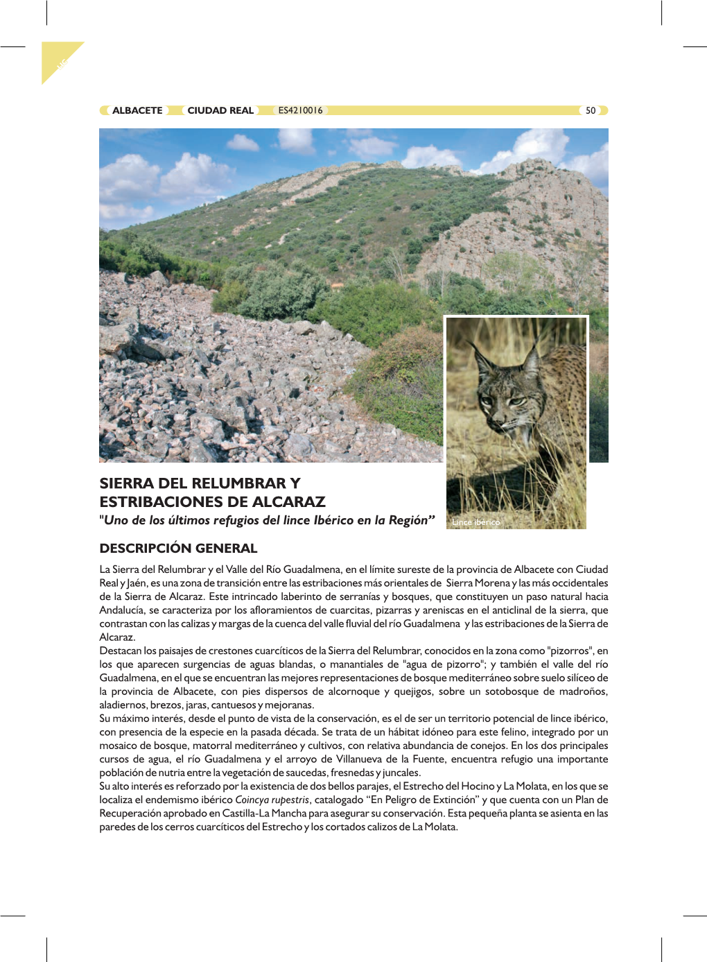 Ficha Descriptiva De La Sierra Del Relumbrar Y Estribaciones De Alcaraz