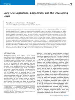 Early-Life Experience, Epigenetics, and the Developing Brain