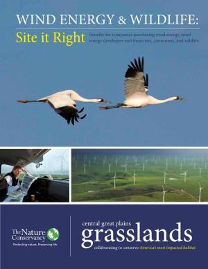 Wind Energy & Wildlife