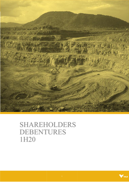 Shareholders Debentures Report 1H20