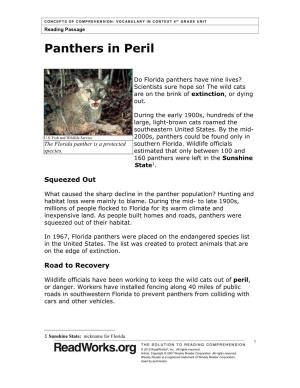 Panthers in Peril
