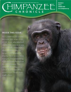 Himpanzee C Chronicle