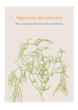 Vegetation Benchmarks Dry Eucalypt Forest and Woodland