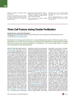Three Cell Fusions During Double Fertilization