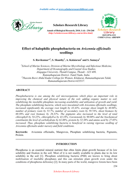 Effect of Halophilic Phosphobacteria on Avicennia Officinalis Seedlings
