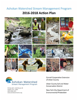 Action Plan to Guide Stream Management