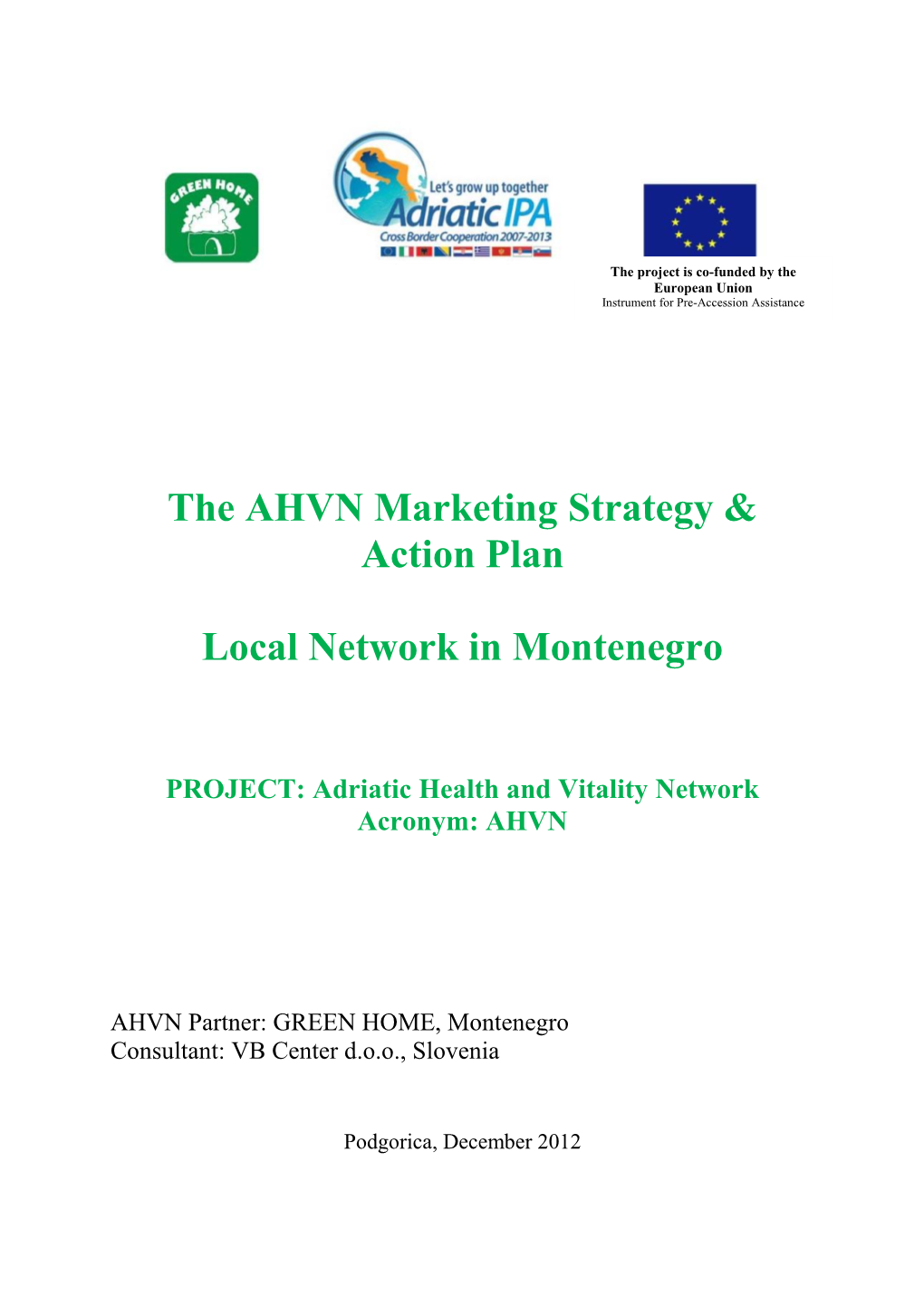 AHVN Marketing Strategy and Action Plan